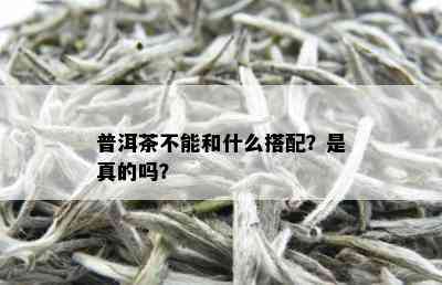 普洱茶不能和什么搭配？是真的吗？