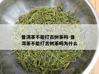 普洱茶不能打古树茶吗-普洱茶不能打古树茶吗为什么