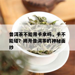 普洱茶不能用手拿吗，手不能碰？揭开普洱茶的神秘面纱