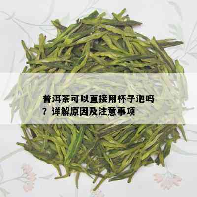 普洱茶可以直接用杯子泡吗？详解原因及注意事项