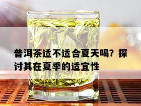 普洱茶适不适合夏天喝？探讨其在夏季的适宜性