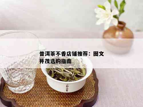 普洱茶不香店铺推荐：图文并茂选购指南