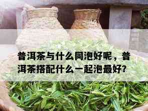 普洱茶与什么同泡好呢，普洱茶搭配什么一起泡更好？