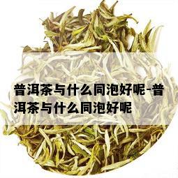 普洱茶与什么同泡好呢-普洱茶与什么同泡好呢