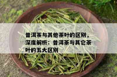 普洱茶与其他茶叶的区别，深度解析：普洱茶与其它茶叶的五大区别