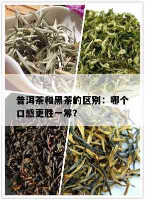 普洱茶和黑茶的区别：哪个口感更胜一筹？