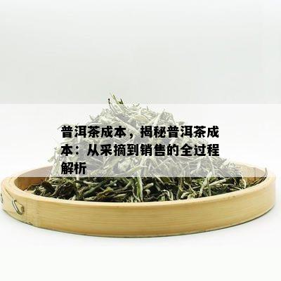 普洱茶成本，揭秘普洱茶成本：从采摘到销售的全过程解析