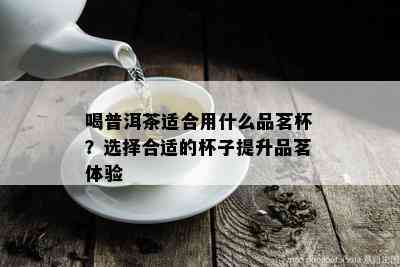 喝普洱茶适合用什么品茗杯？选择合适的杯子提升品茗体验