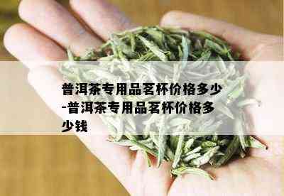 普洱茶专用品茗杯价格多少-普洱茶专用品茗杯价格多少钱