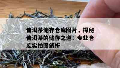 普洱茶储存仓库图片，探秘普洱茶的储存之道：专业仓库实拍图解析