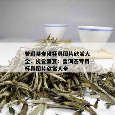 普洱茶专用杯具图片欣赏大全，视觉盛宴：普洱茶专用杯具图片欣赏大全