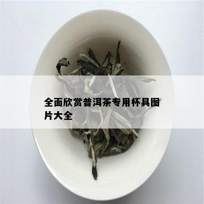 全面欣赏普洱茶专用杯具图片大全