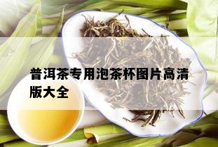 普洱茶专用泡茶杯图片高清版大全