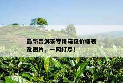 最新普洱茶专用箱包价格表及图片，一网打尽！