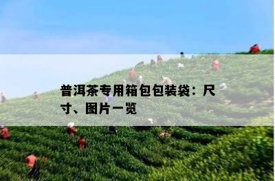 普洱茶专用箱包包装袋：尺寸、图片一览