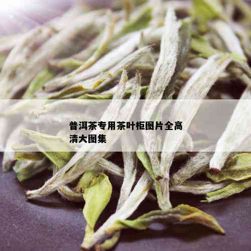 普洱茶专用茶叶柜图片全高清大图集