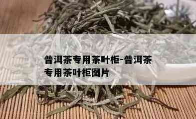 普洱茶专用茶叶柜-普洱茶专用茶叶柜图片