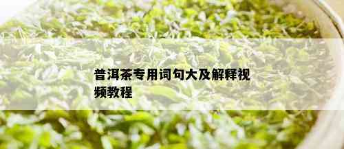 普洱茶专用词句大及解释视频教程