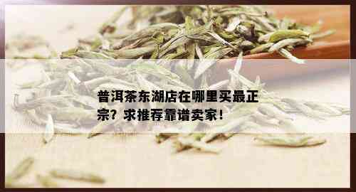 普洱茶东湖店在哪里买最正宗？求推荐靠谱卖家！