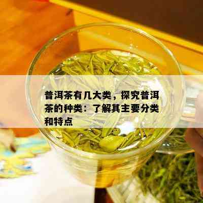 普洱茶有几大类，探究普洱茶的种类：了解其主要分类和特点