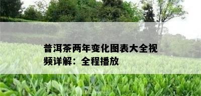 普洱茶两年变化图表大全视频详解：全程播放