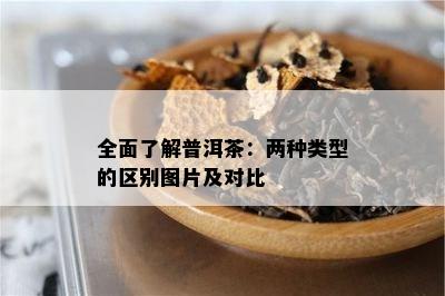 全面了解普洱茶：两种类型的区别图片及对比