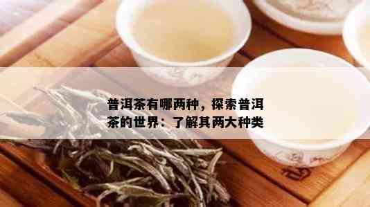 普洱茶有哪两种，探索普洱茶的世界：了解其两大种类