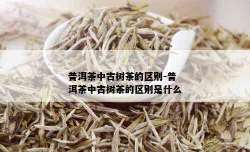 普洱茶中古树茶的区别-普洱茶中古树茶的区别是什么