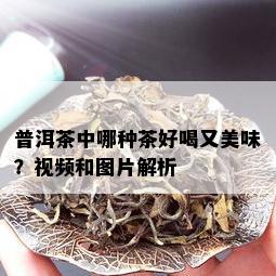 普洱茶中哪种茶好喝又美味？视频和图片解析