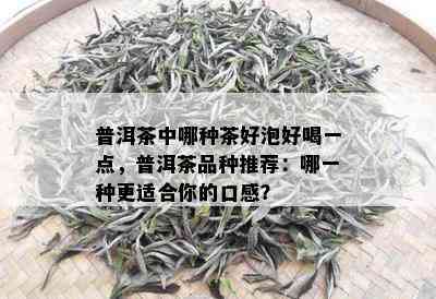 普洱茶中哪种茶好泡好喝一点，普洱茶品种推荐：哪一种更适合你的口感？