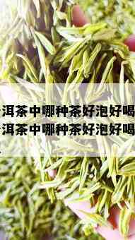 普洱茶中哪种茶好泡好喝-普洱茶中哪种茶好泡好喝一点