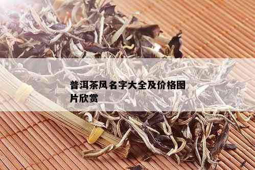 普洱茶风名字大全及价格图片欣赏