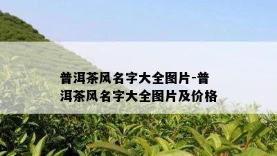 普洱茶风名字大全图片-普洱茶风名字大全图片及价格