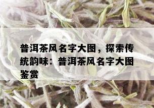 普洱茶风名字大图，探索传统韵味：普洱茶风名字大图鉴赏