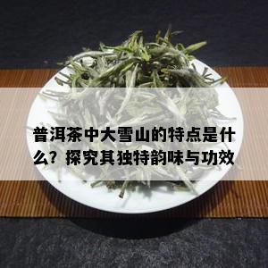 普洱茶中大雪山的特点是什么？探究其独特韵味与功效