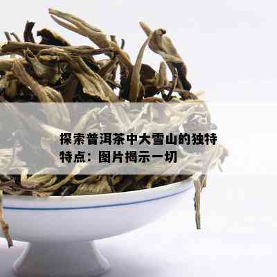 探索普洱茶中大雪山的独特特点：图片揭示一切