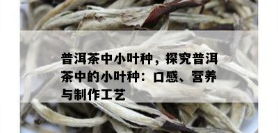 普洱茶中小叶种，探究普洱茶中的小叶种：口感、营养与制作工艺