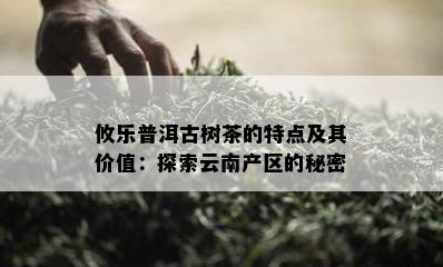 攸乐普洱古树茶的特点及其价值：探索云南产区的秘密