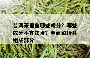 普洱茶里含哪些成分？哪些成分不宜饮用？全面解析其组成部分