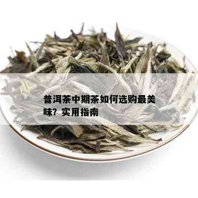 普洱茶中期茶如何选购最美味？实用指南