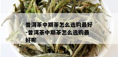 普洱茶中期茶怎么选购更好-普洱茶中期茶怎么选购更好呢