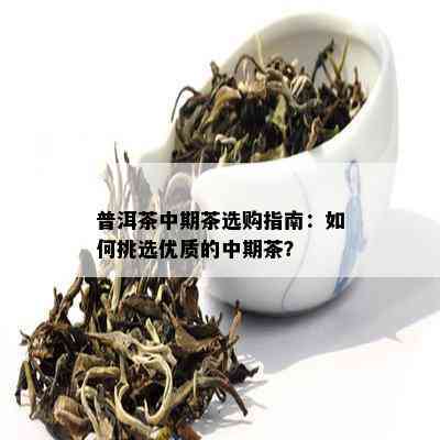 普洱茶中期茶选购指南：如何挑选优质的中期茶？