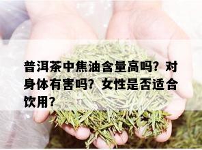 普洱茶中焦油含量高吗？对身体有害吗？女性是否适合饮用？