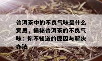 普洱茶中的不良气味是什么意思，揭秘普洱茶的不良气味：你不知道的原因与解决办法