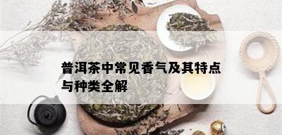 普洱茶中常见香气及其特点与种类全解