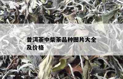 普洱茶中柴茶品种图片大全及价格