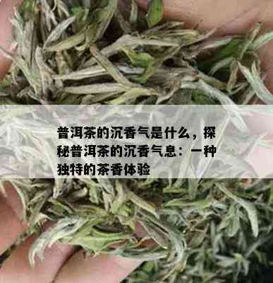 普洱茶的沉香气是什么，探秘普洱茶的沉香气息：一种独特的茶香体验