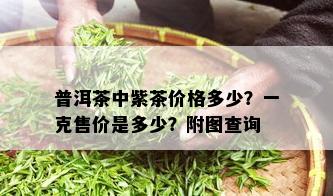 普洱茶中紫茶价格多少？一克售价是多少？附图查询