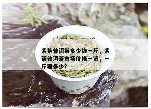 紫茶普洱茶多少钱一斤，紫茶普洱茶市场价格一览，一斤要多少？