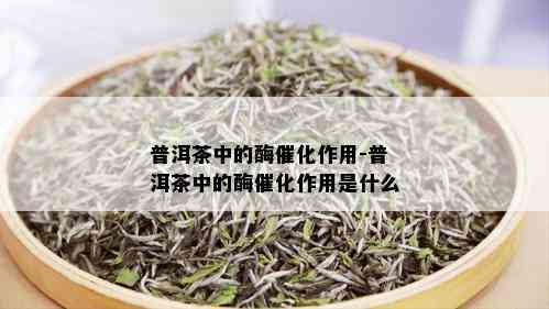 普洱茶中的酶催化作用-普洱茶中的酶催化作用是什么